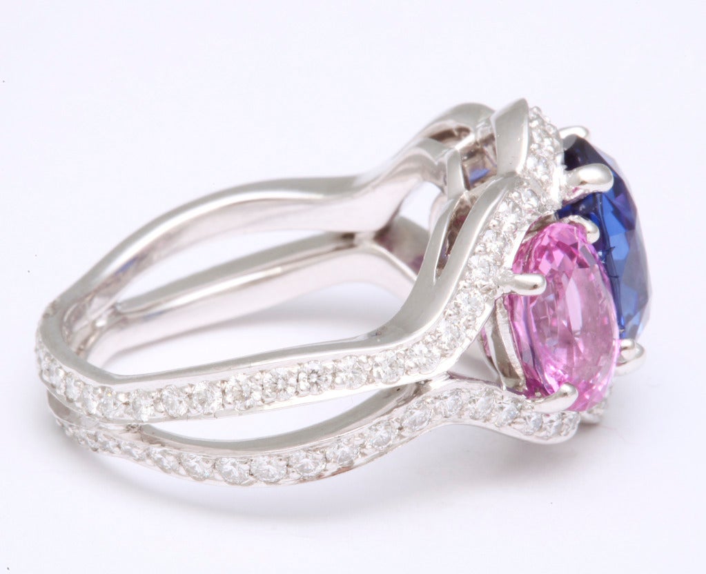 Women's Tanagro Blue and Pink Sapphire Ring