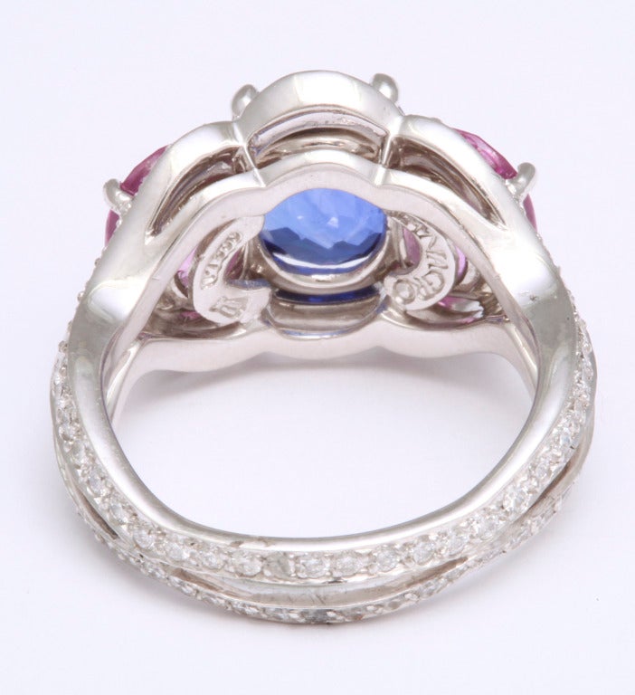 Tanagro Blue and Pink Sapphire Ring 1