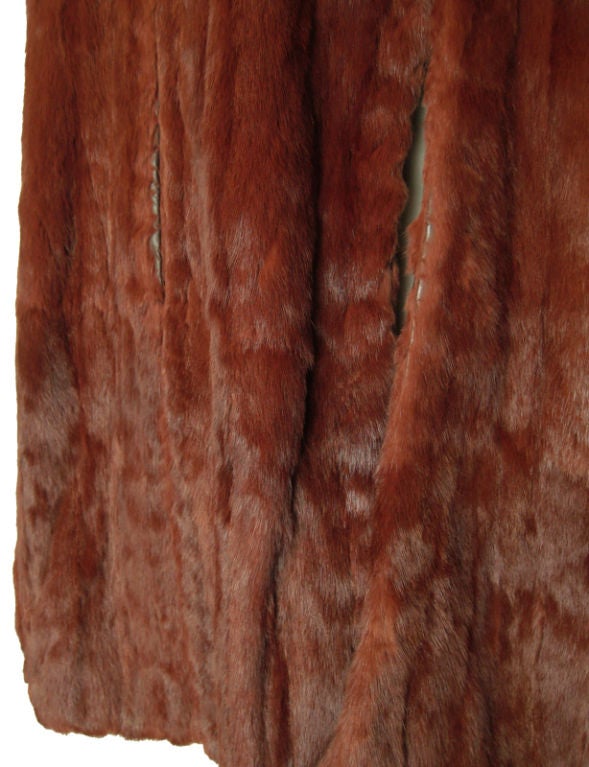 red squirrel coat