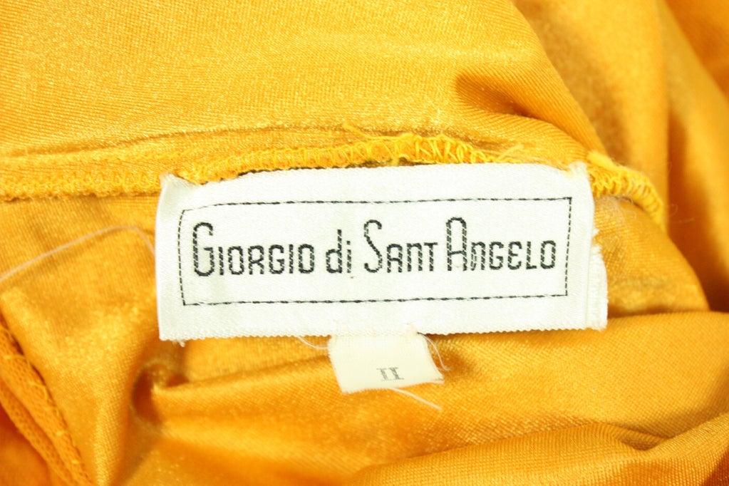 Giorgio di Sant Angelo Mesh Dress 3