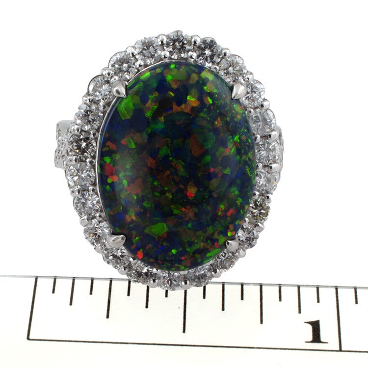 Women's Incredible Black Opal and Diamond ring.