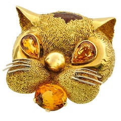 Whimsical Cat Face Brooch/Pendant