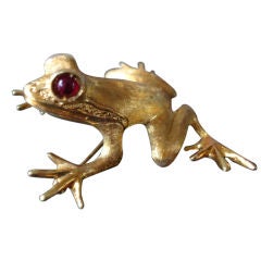 Frog Pin, Getting Ready to Jump! Cellino