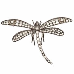 Exquisite Rose-Cut Diamond Dragon Fly Brooch