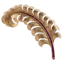 Gold and Ruby Feather Brooch