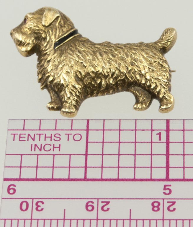 14k yellow gold fully realized Scottish Terrier pin.  He even has a black enamel collar and a ruby eye!