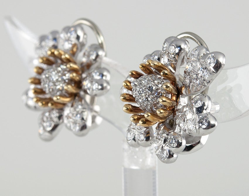 Women's TIFFANY SCHLUMBERGER Diamond Flower Earrings