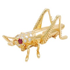DANKER Adorable Ruby Diamond and Gold Grasshopper Brooch