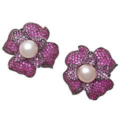 SABBADINI South Sea Pearl 
Pink Sapphire Earclips