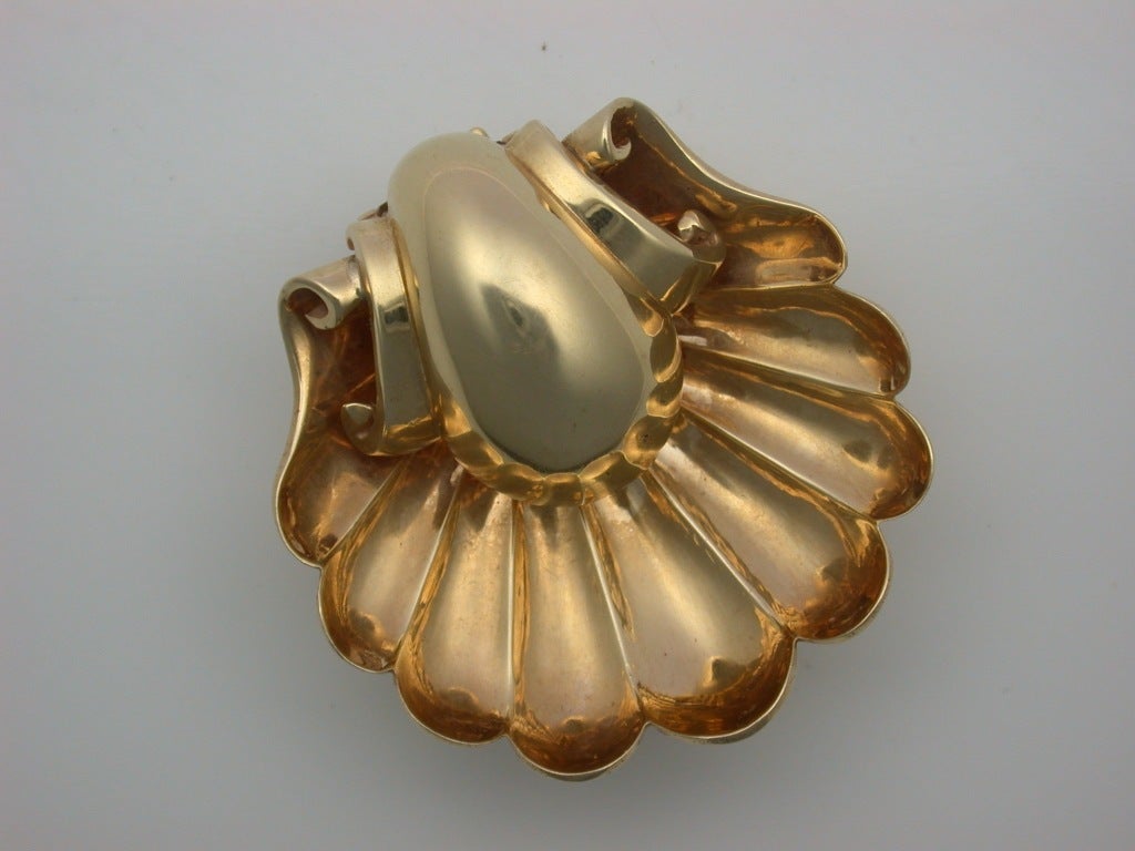 1940s Gold Shell Brooch