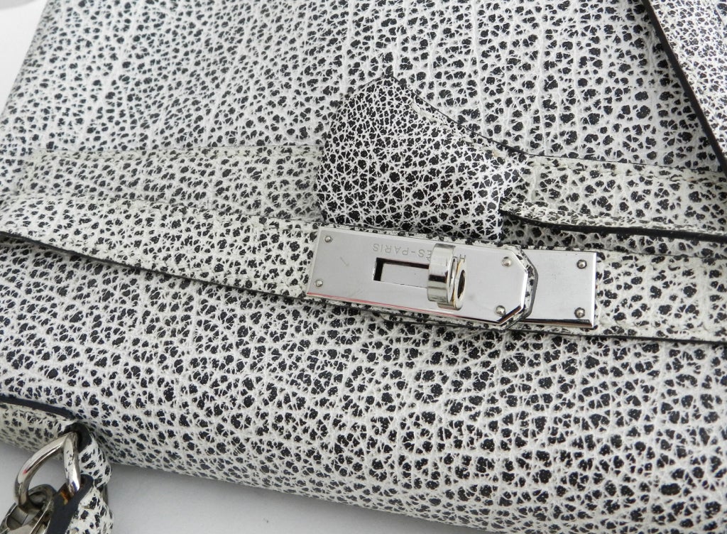 Hermes Dalmatian Kelly 32 Bag in Buffalo Skipper Leather 1