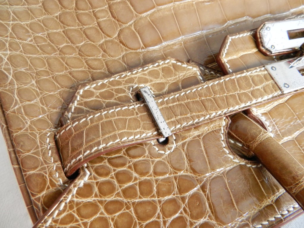 Hermes Birkin Bag 30 Crocodile Alligator Lisse 3