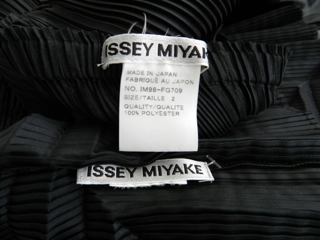 Issey Miyake Black Pleated Skirt & Top 4