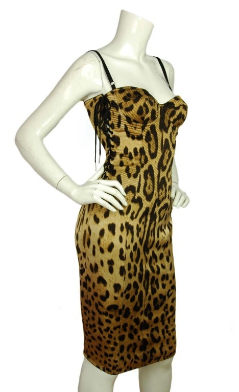 DOLCE & GABBANA NWT Leopard Print Bustier Dress W. Lace Up Sides Sz. 42