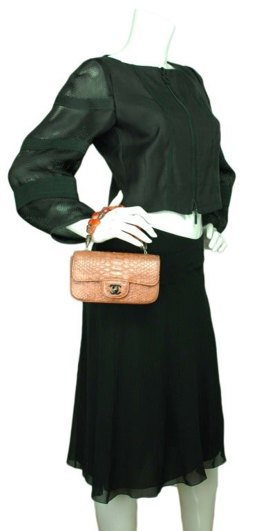 Chanel Mini Python Classic Handbag with Stone Handle 3