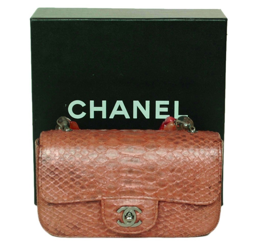 Chanel Mini Python Classic Handbag with Stone Handle 4