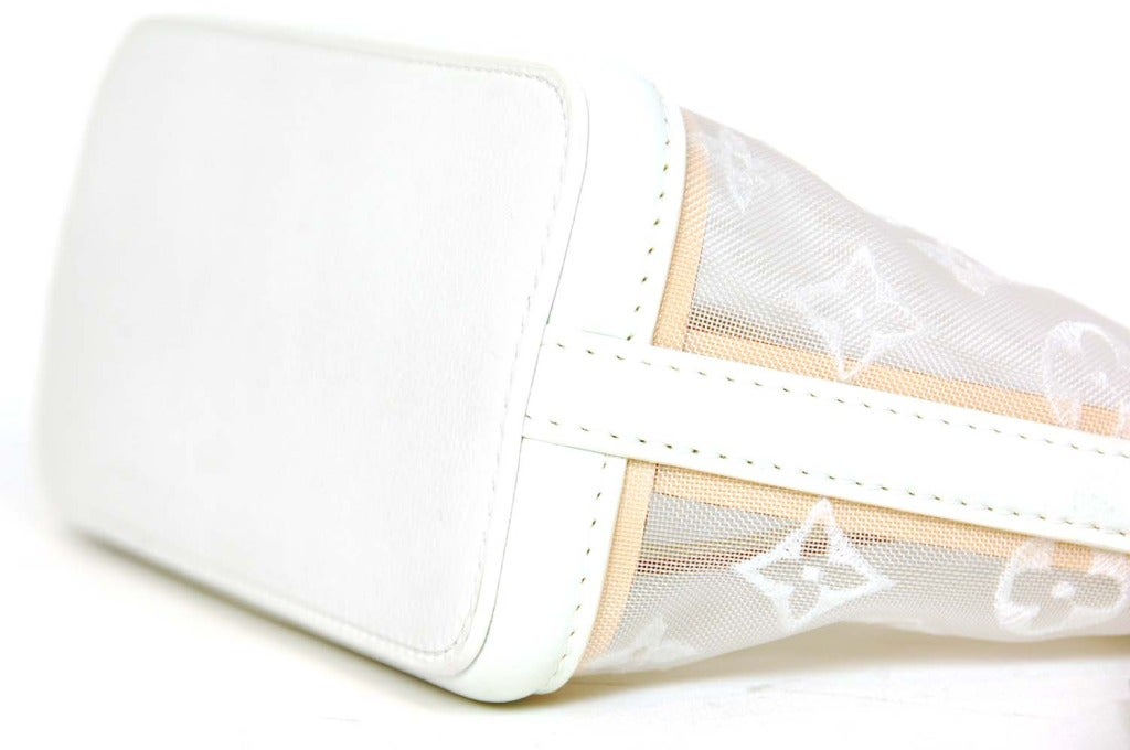 louis vuitton clear makeup bag