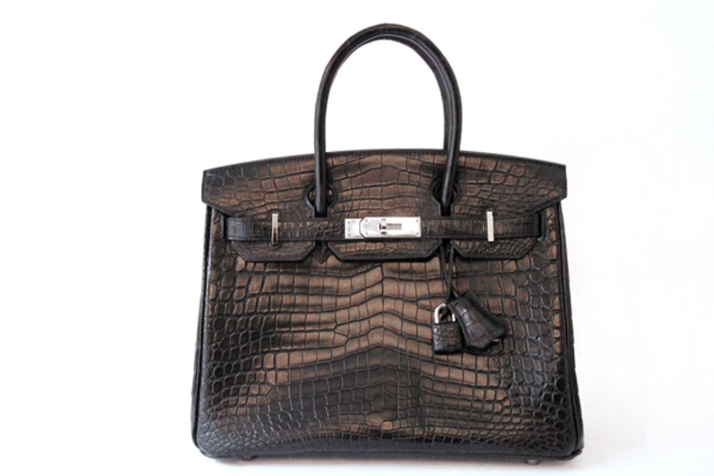 niloticus crocodile hermes