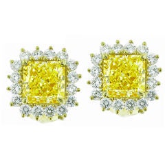 Intense Fancy Yellow Diamond Earrings