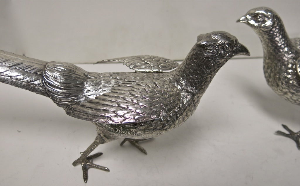 Pair Of French, Antique, Sterling Silver Male & Female Pheasants With Moveable Wings. Standing Over 7