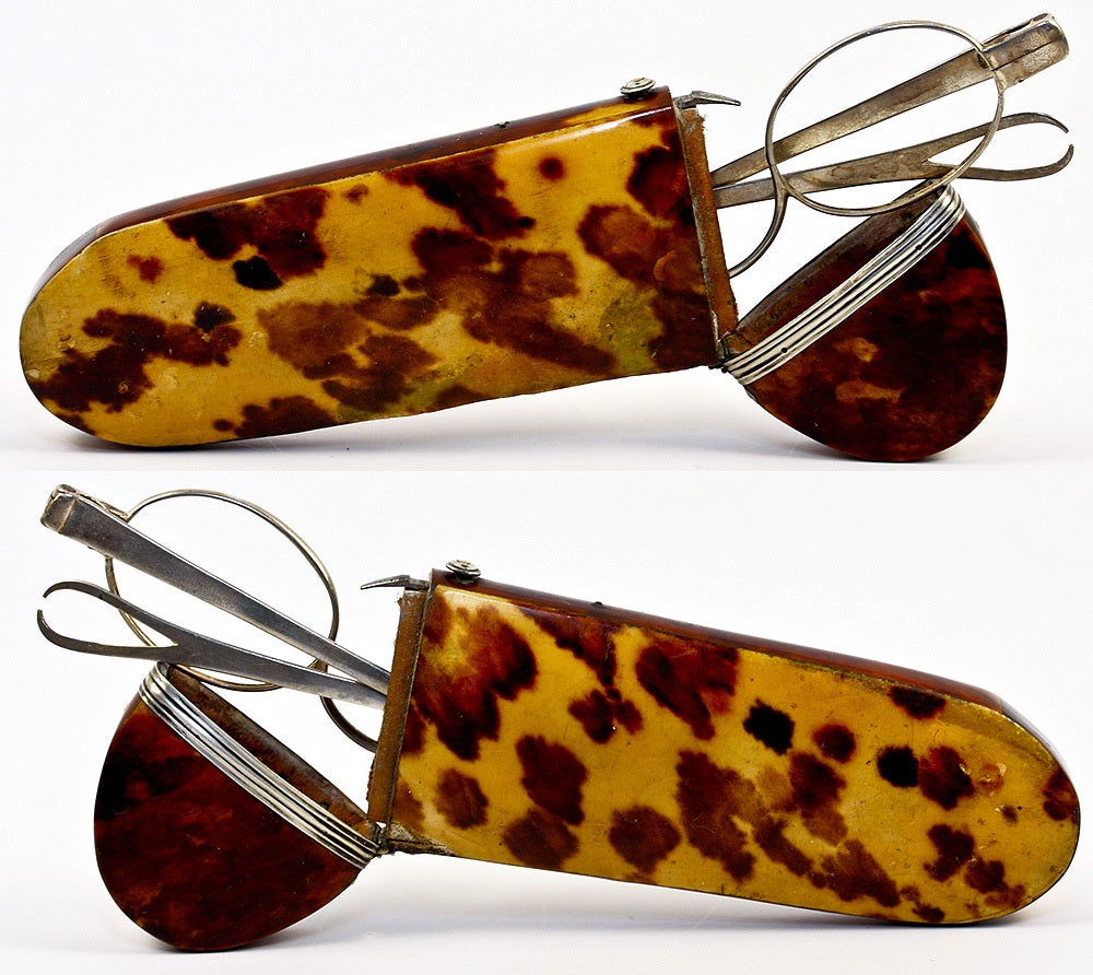 Rare Napoleonic Tortoise Shell Spectacles Case with Specs at 1stDibs