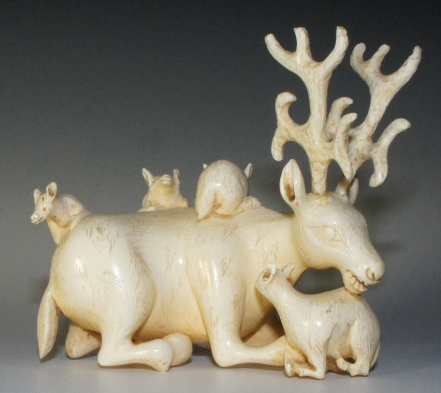 Overly large for use as a Netuske, but it has the holes carved into the underside which would accommodate the string (view images).  The figure of a stag lying down and with 4 fawns around and on it.  Ivory being quite heavy, as it is solid carved,