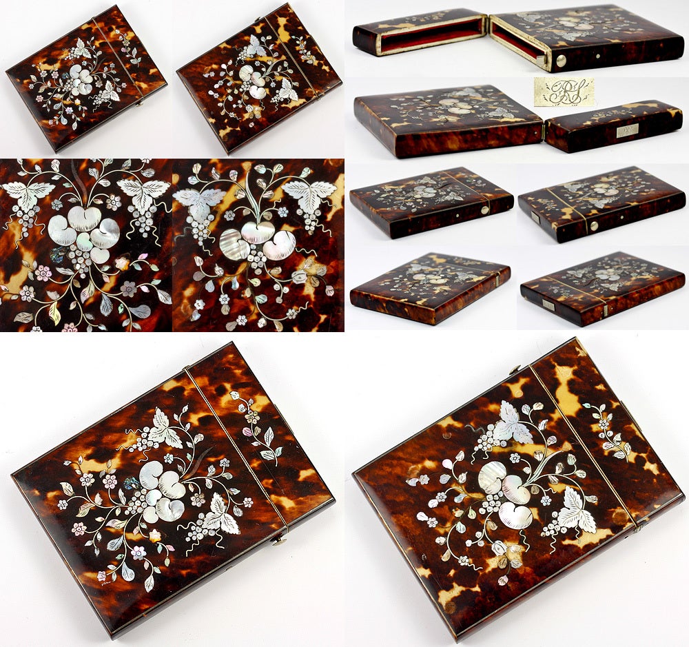Women's Stunning Victorian Tortoise Shell Card Case with Mother of Pearl For Sale