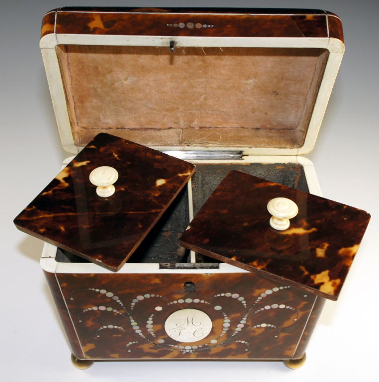 19th Century Antique Tortoise Shell Inlay Tea Caddy, 2 Well - Tortoiseshell For Sale