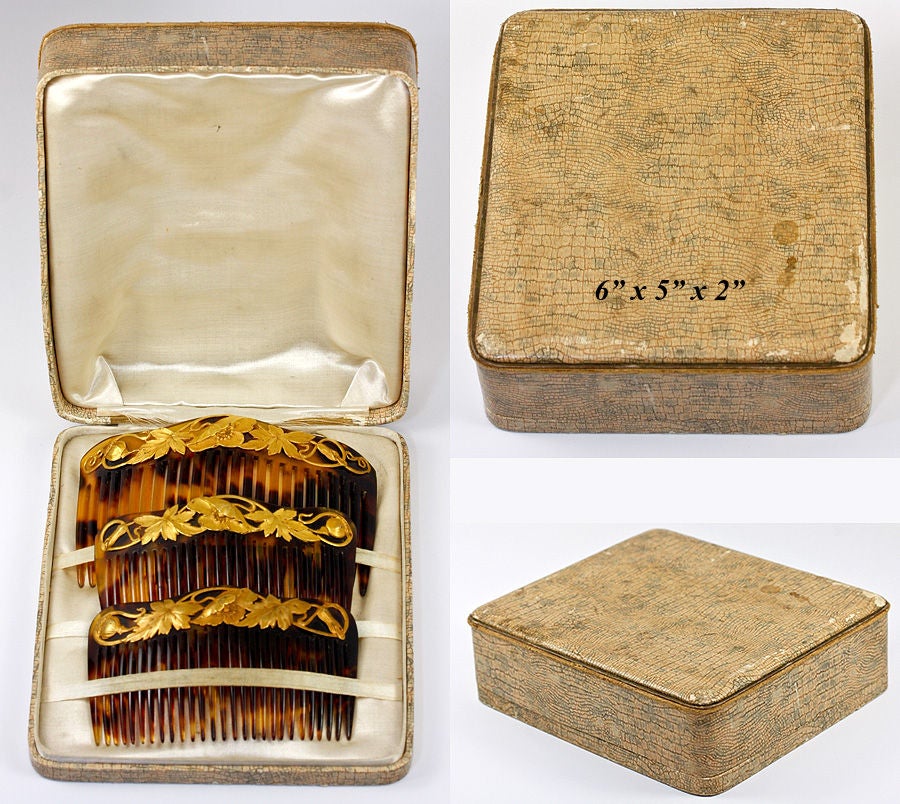 Antique 3 Tortoise Shell Hair Comb Set in Box, Gold Mounted For Sale at ...