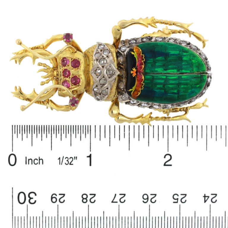 Huge Insect Brooch 1