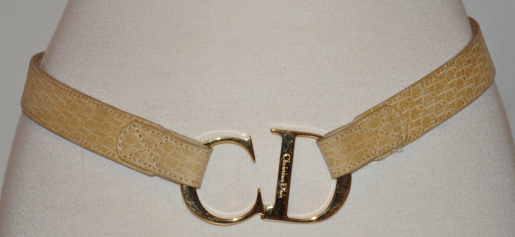cd logo belt