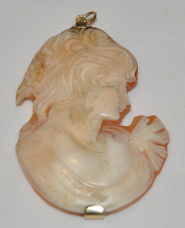 This large Victorian Cameo is set with a 14k backing and loop. The cameo is scrupled from  natural Abalone into a beautiful youthful woman of extreme beauty.<br />
     The cameo measures 2