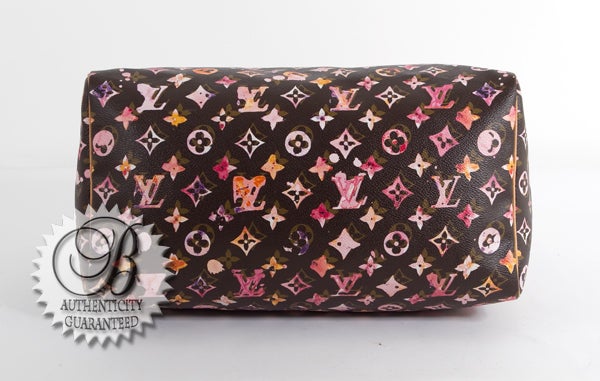 Louis Vuitton Limited Edition Richard Prince Watercolor Speedy 35