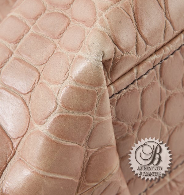 Miu Miu Croc Embossed Tortoise Kisslock Purse Bag For Sale 2