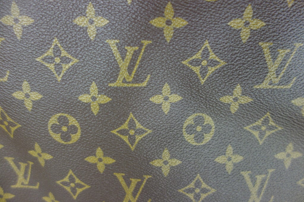 Louis Vuitton monogram canvas garment cover