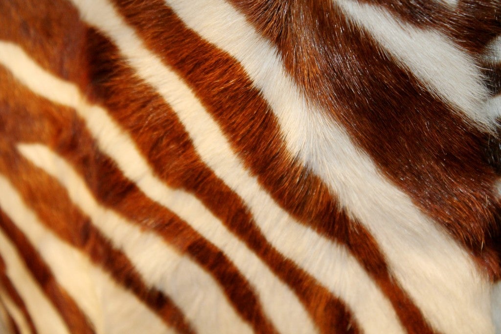 Emanuel Ungaro Brown and White Pony Hair Coat 1