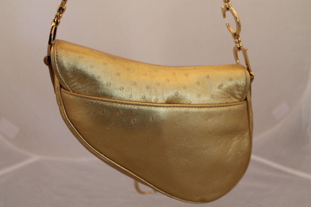 dior gold saddle bag