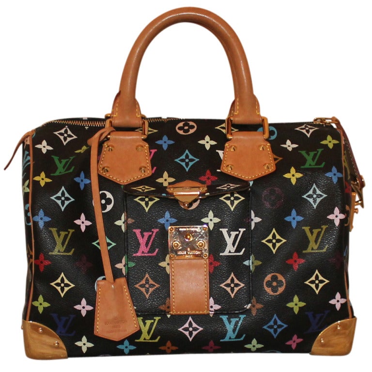 Louis Vuitton Multi color Large Speedy Handbag at 1stdibs