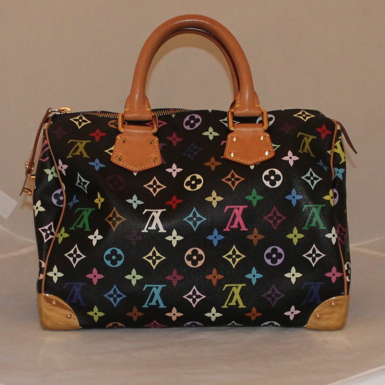 Women's Louis Vuitton Multi color Large Speedy Handbag