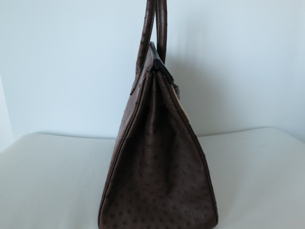 Hermes 35cm Brown Ostrich Bag with PHW 2