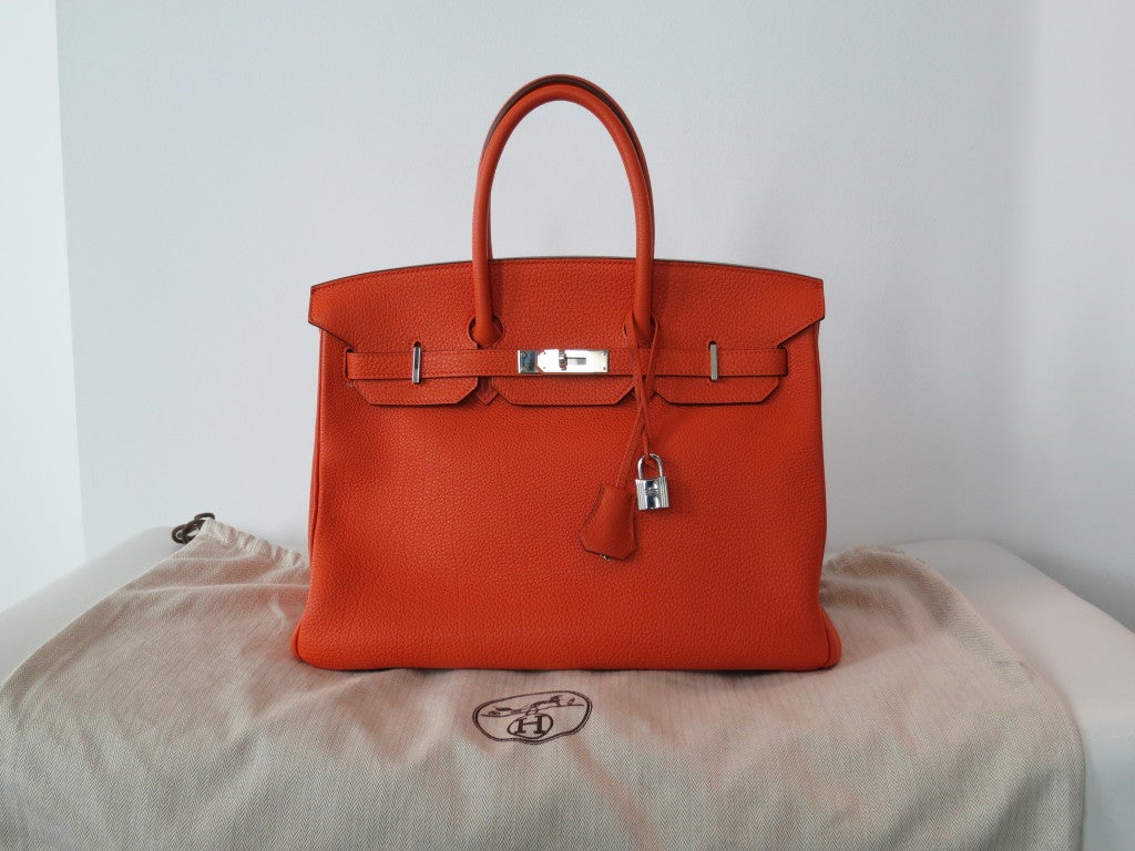 Hermes Birkin Bag 1