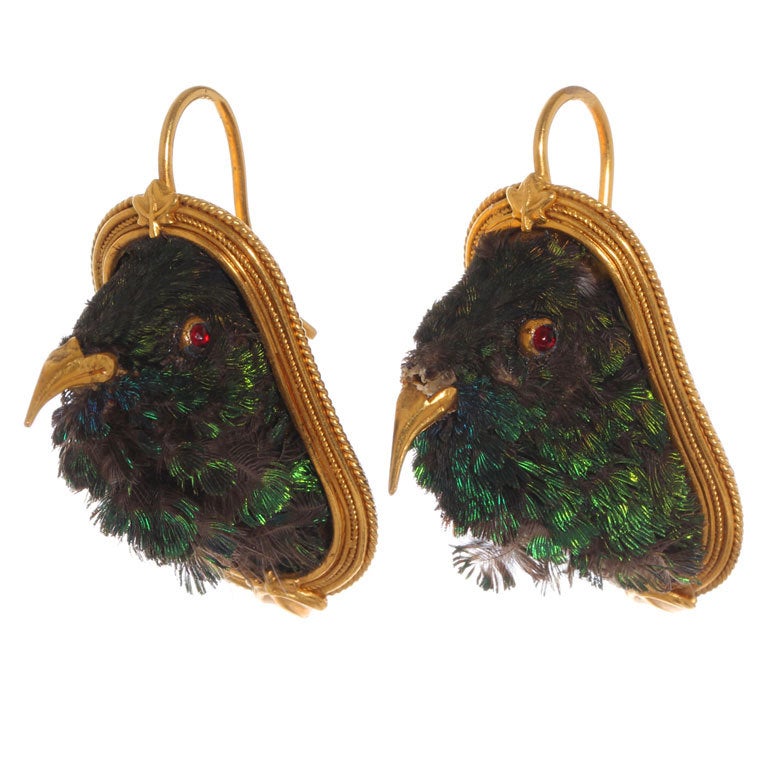 Victorian Taxidermy Hummingbird Earrings