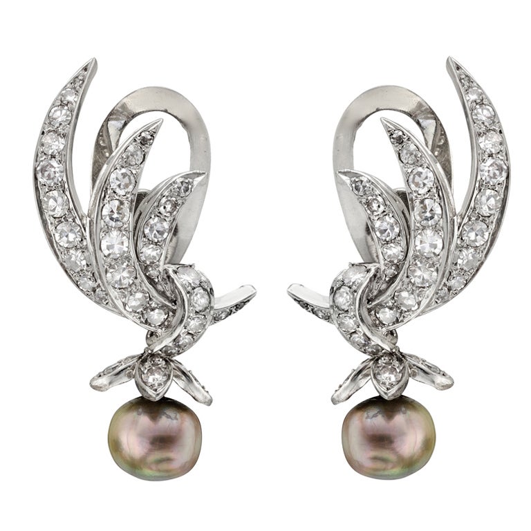 Diamond Spray & Natural Pearl Drop Earrings