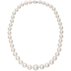South Sea Pearl Necklace with Diamond Clasp