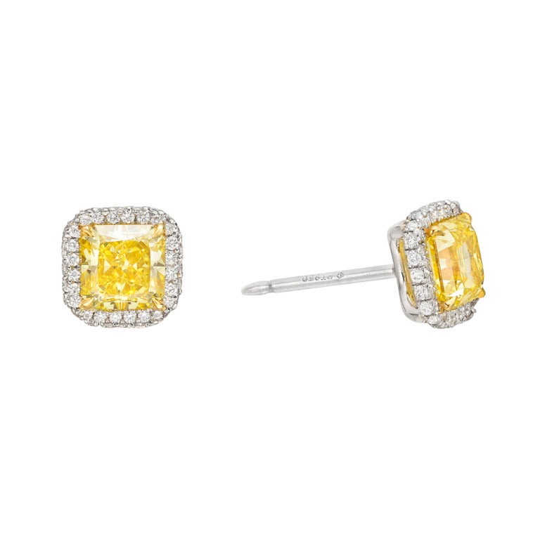 Yellow diamond stud earrings, centering on a fancy vivid yellow diamond with a pavé-set near-colorless diamond surround and profile, the two yellow diamonds weighing 1.81 total carats and 96 near-colorless diamond accents weighing approximately 0.20