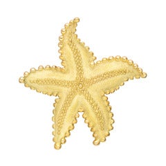 TIFFANY & CO. Large Gold Starfish Brooch