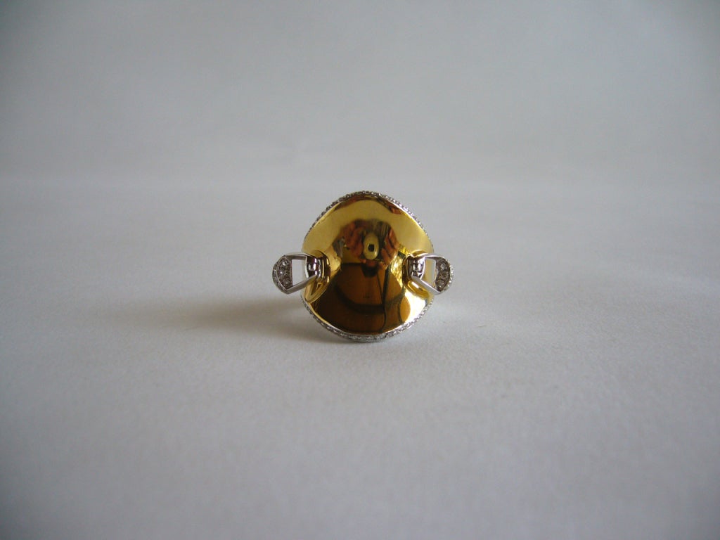 horse saddle ring