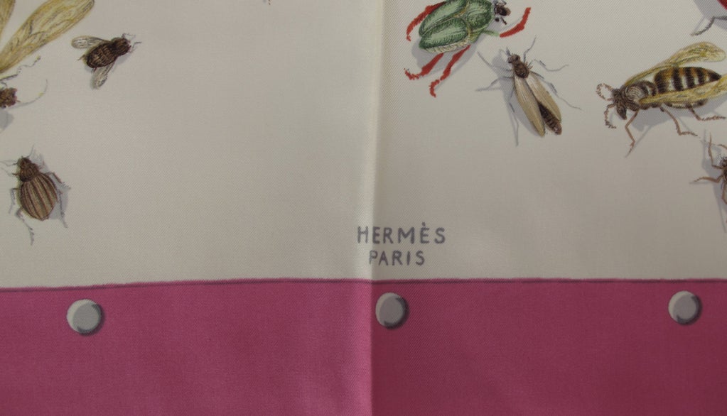 hermes bugs