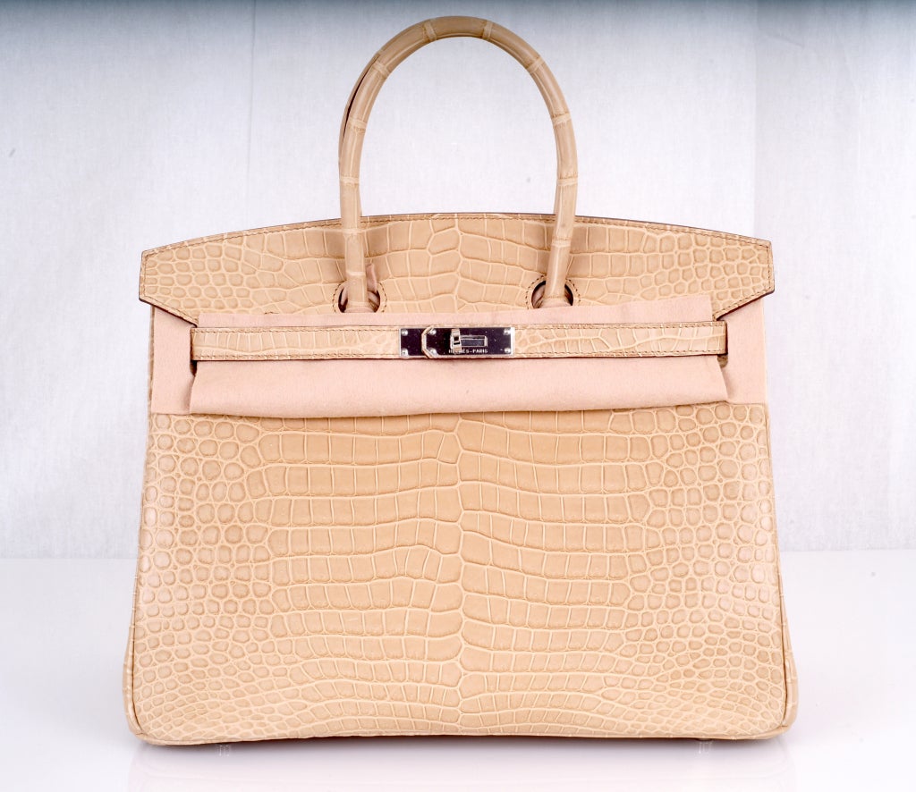 HERMES BIRKIN BAG 35cm POUSSIERE MATTE CROCODILE POROSUS absolutely OMG. As always, another one of my fab finds, The sexiest bag ever… Hermes 35cm Birkin in beautiful MATTE POUSSIERE POROSUS CROCODILE with stunning palladium hardware.<br />
<br