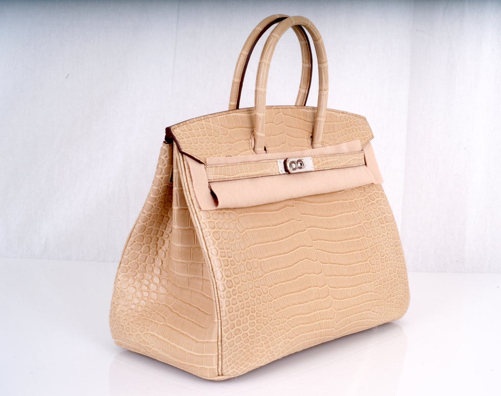 HERMES BIRKIN BAG 35cm POUSSIERE MATTE CROCODILE POROSUS at 1stdibs  